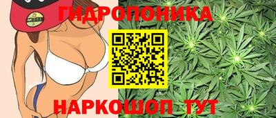 МДПВ Можга