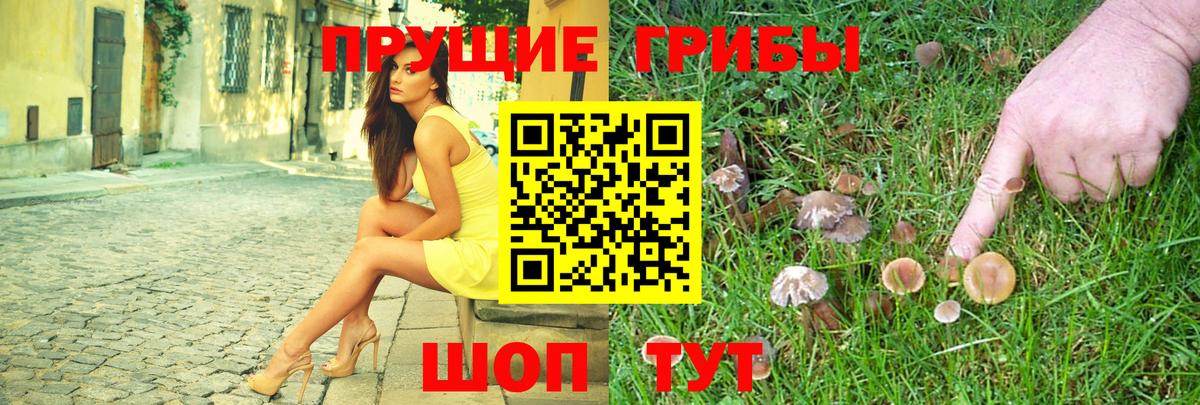 Ростов-на-Дону  Псилоцибиновые грибы Psilocybine cubensis  Вход с VPN 