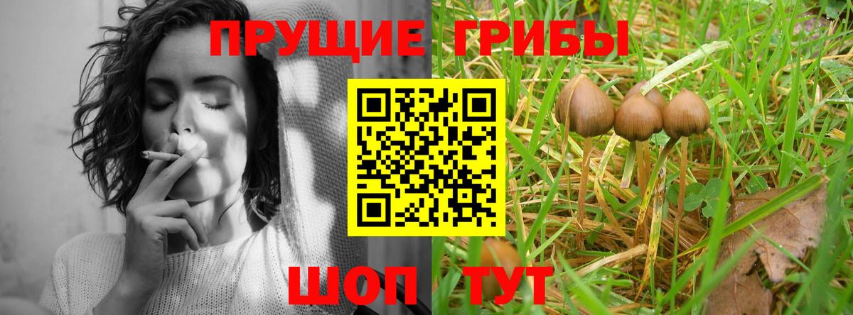 Псилоцибиновые грибы прущие грибы Ростов-на-Дону